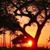 Monica Castillo's profile image