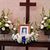 Deborah Collier Lawrence's profile image