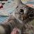 Dawn Heinrich DuRocher's profile image