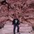 Stuart Shless's profile image
