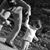 Dominic Carone's profile image