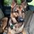 Pate Warnick's profile image