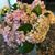 Debbie Fitch's profile image