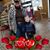 Lynda Ally Knight's profile image