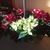 Margi Gamroth Roper's profile image