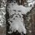 Kimberly Lacey's profile image