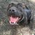 Rock L Smith's profile image