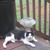 Cathy McCall's profile image