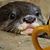 Marilyn Deniston's profile image