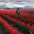 Tanveer Aslam's profile image