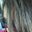 Betty Luera's profile image