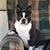 Angela Brunke's profile image