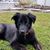 Karen Ritchey's profile image