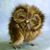 Contreras Jlorraine's profile image