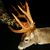 Roy Hall Jr.'s profile image