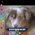 Julie Desjardin's profile image