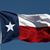Rebecca Crisp's profile image