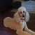 Joni Bealer's profile image