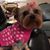 Melody K. Bishop's profile image