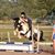 Ellen Schipper's profile image