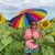 Kareen Ellen Lawson's profile image