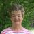 Diane Frye Kay's profile image