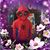 Sandra Marks Dingillo Pabon's profile image