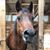 Jamie Buedler's profile image