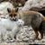 Stacie Fox Weist's profile image