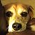 Beth Boles's profile image