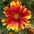 Jenny Thomas's profile image