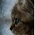 Donna Vazquez's profile image