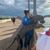 Shalon Taylor's profile image