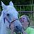 Linda Wessel's profile image