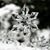 Daphne Sims Mobley's profile image
