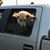 Candy Richardson Lieberenz's profile image