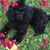 Suzanne Haber's profile image