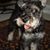 Tami Taylor's profile image