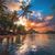 Diane Rhinehart Porchas's profile image