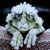 Sandy Rozelman's profile image