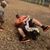 Phillip J Bittner's profile image