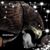 George Pietrowski's profile image