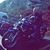Nihad Rucic's profile image