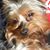 Kaye Scott's profile image