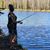 Jenifer Bowen Larson's profile image