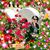 Josephine Castanares's profile image