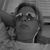 Michelle Caito-Hutchison's profile image