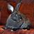 Renee Villard's profile image