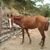 Darwin Emir Patricio's profile image