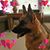Carolyn Blaetz Guest's profile image